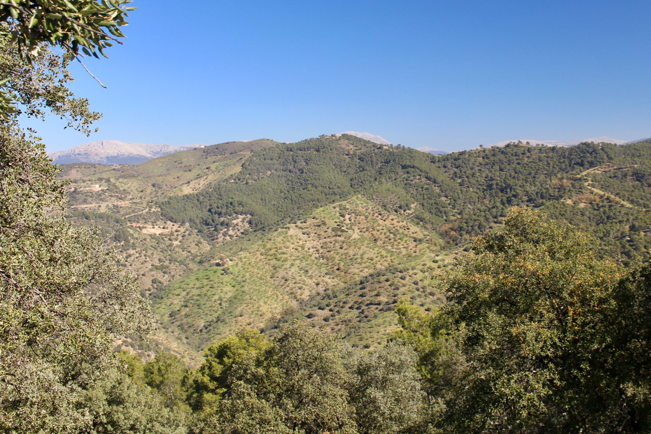 Naturpark Montes de Málaga