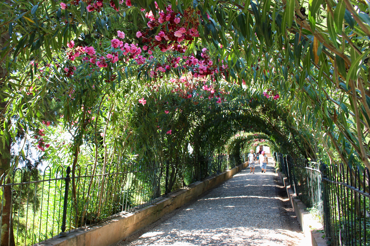 Die Promenade der Oleander im Generalife der Alhambra