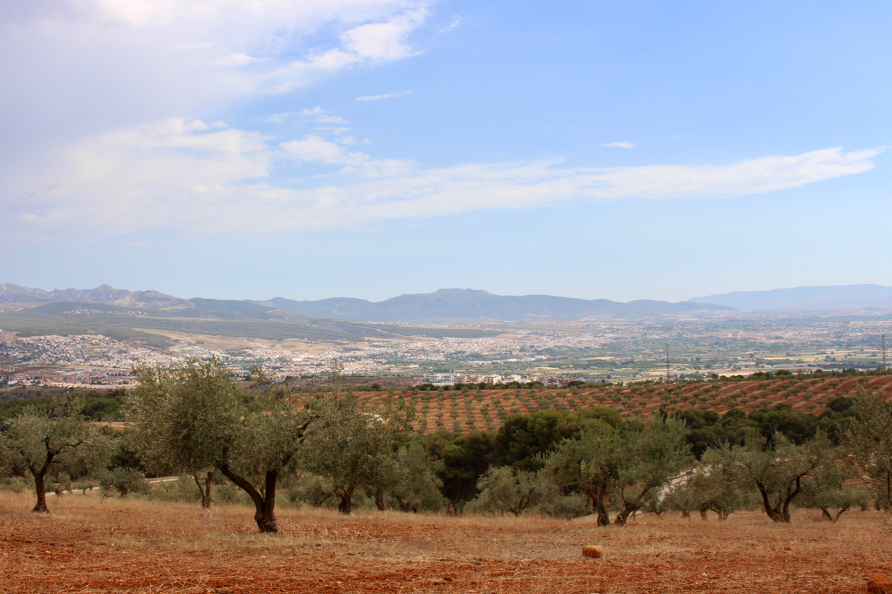 Ein Blick von der Dehesa del Generalife auf die Ebene von Granada